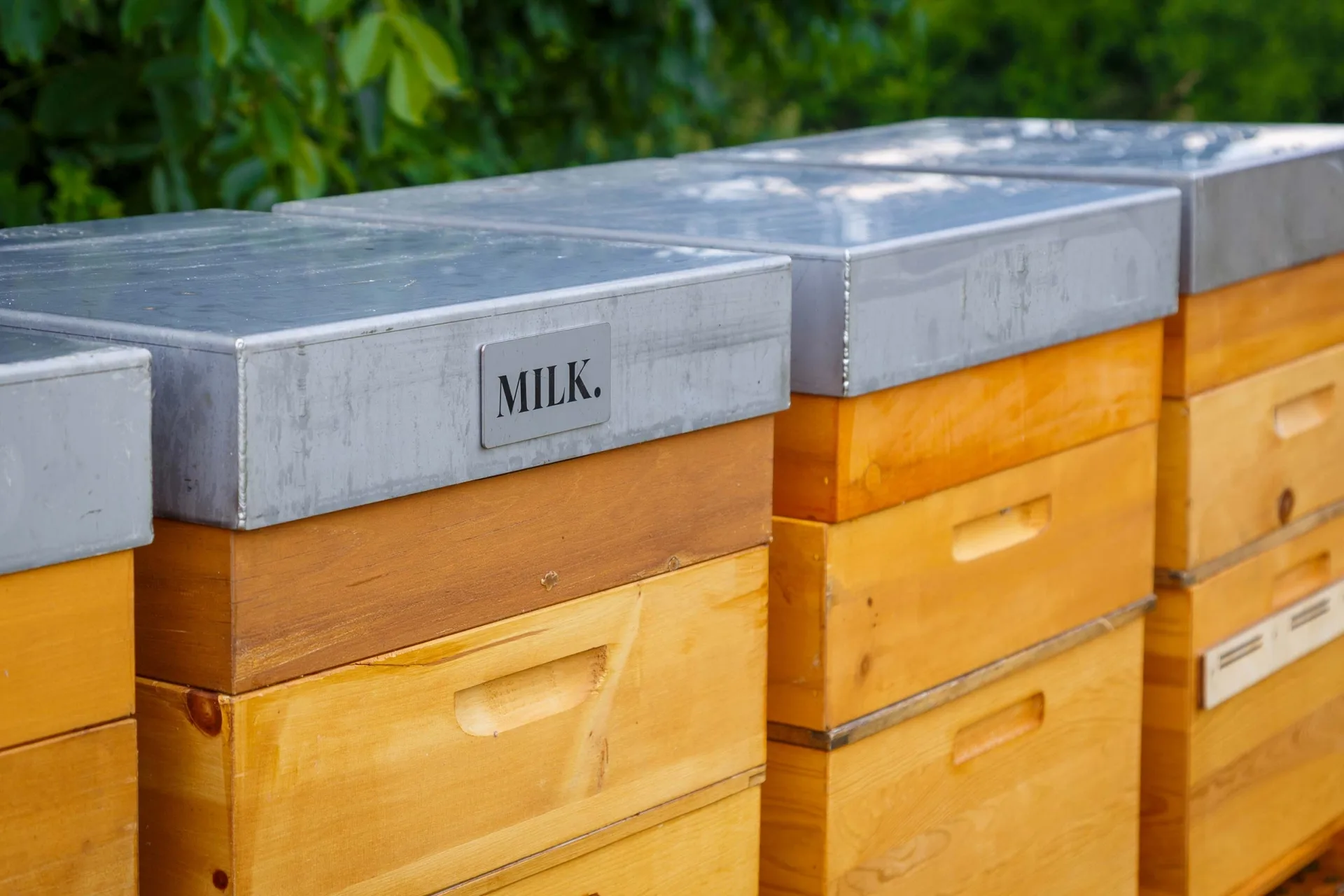 hier entsteht unser Honig