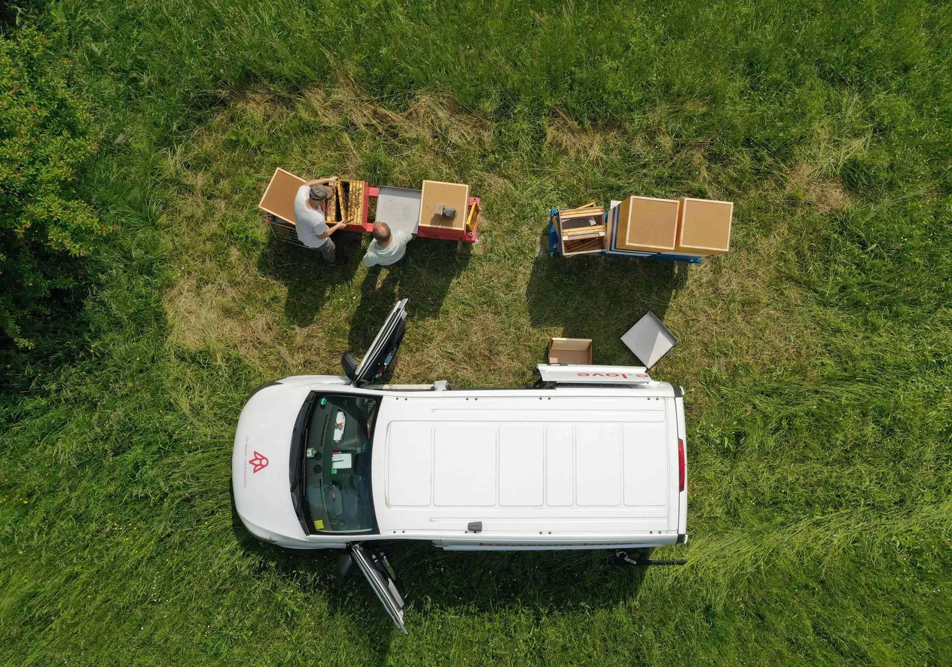 in unserem Bienenjahr zu Besuch bei den Bienen