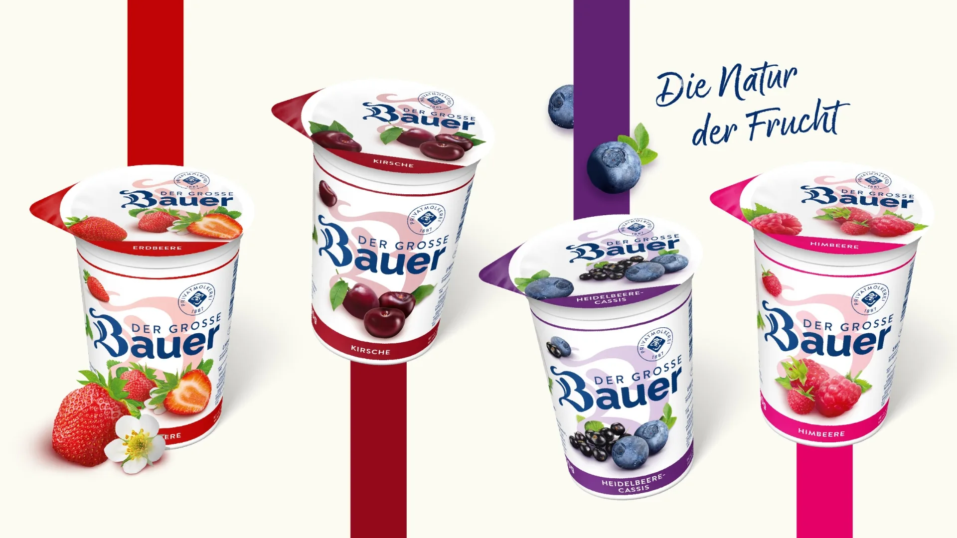 neue Designs für Bauer Joghurt Becher