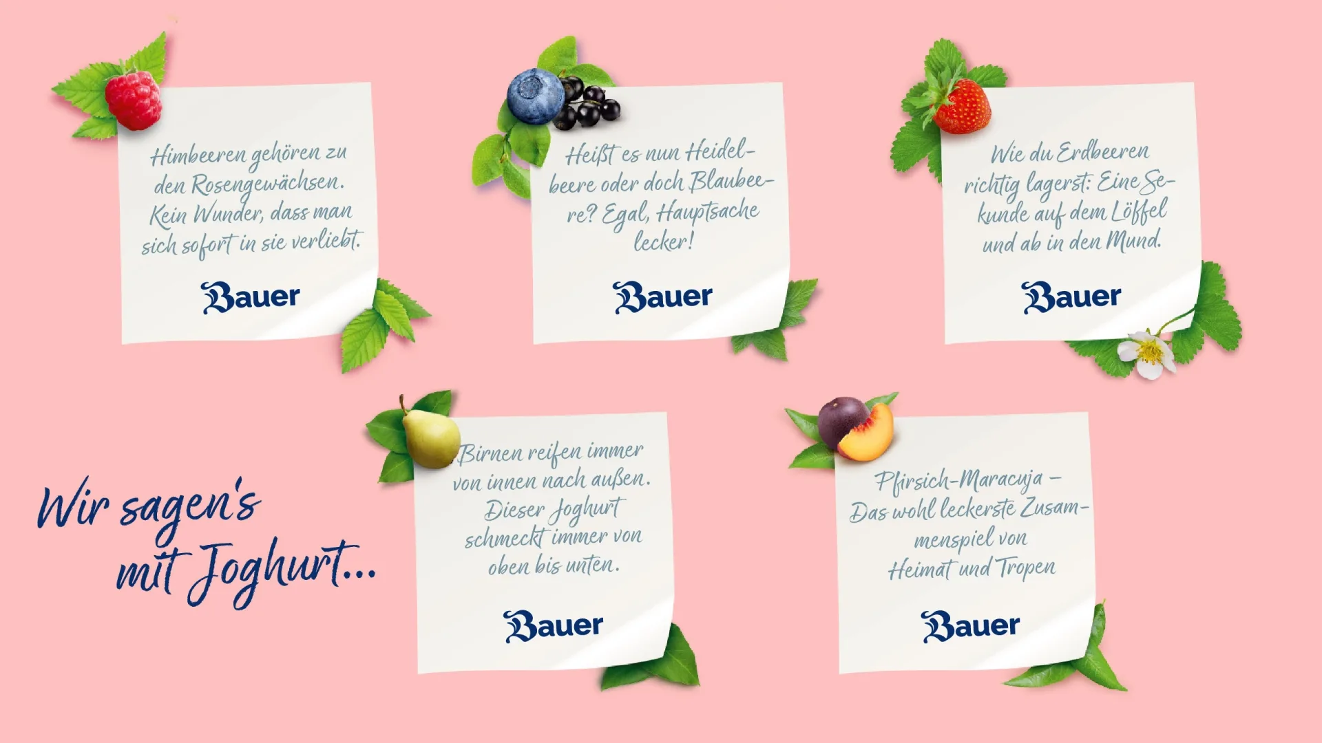 Text von der neuen Bauer Joghurt-Verpackung